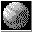 WarHeads SE icon